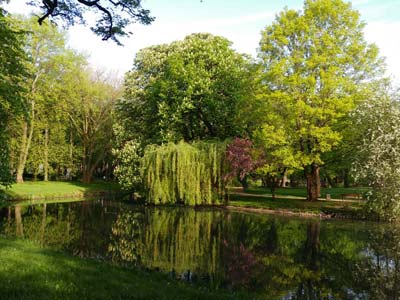 Schlossteich Chemnitz