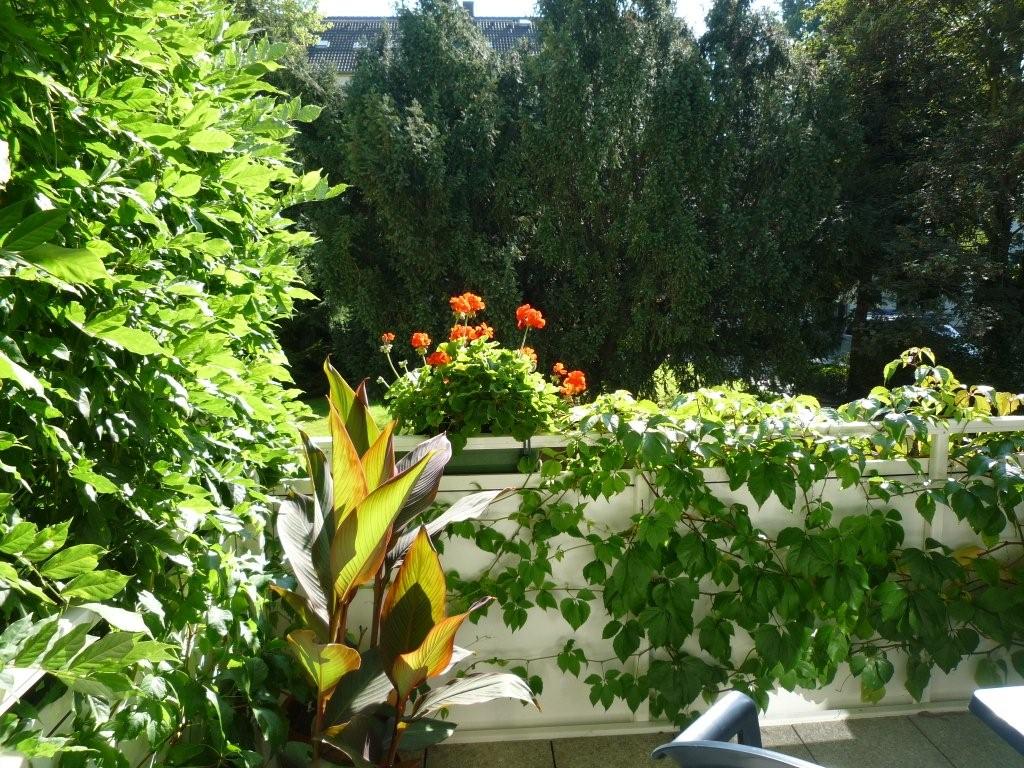 Apartment Chemnitz Kaßberg - Balkon